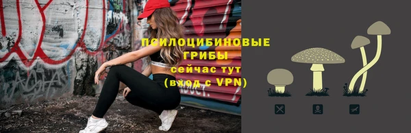 spice Фурманов