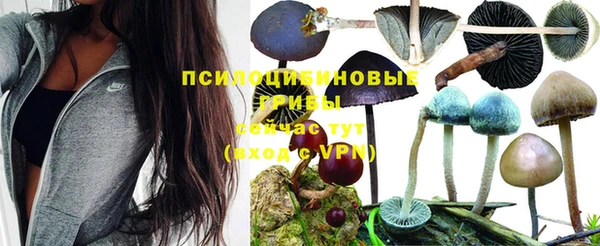 spice Фурманов
